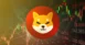 Shiba INU token