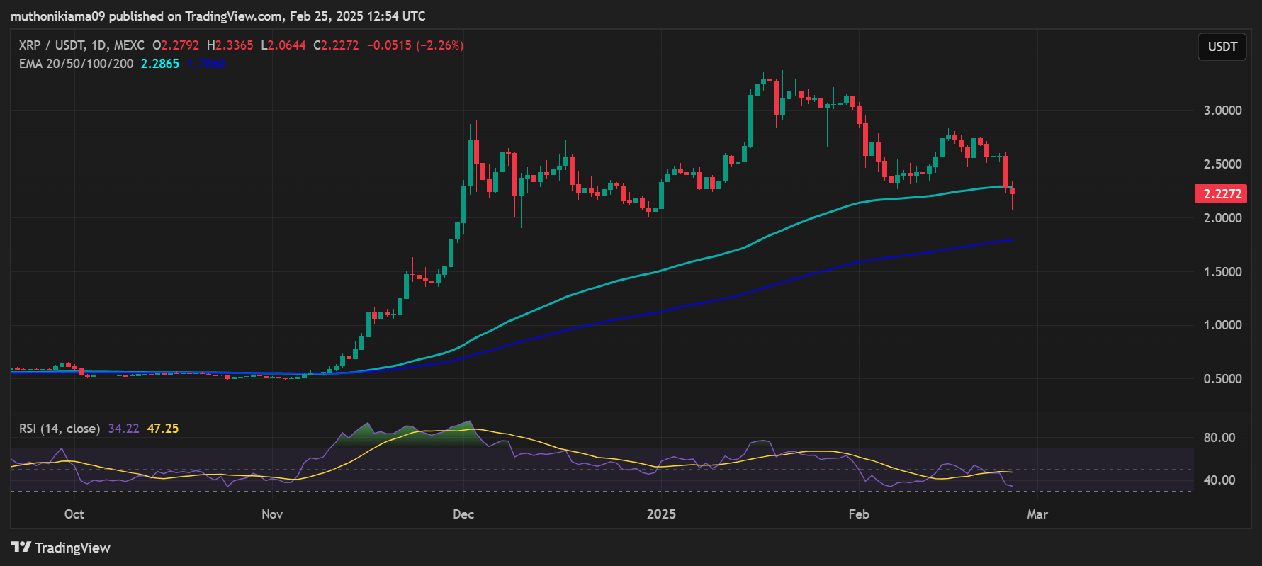 Could XRP Price Hit $1,000 if Elon Uses Ripple for US National Debt Repayment?