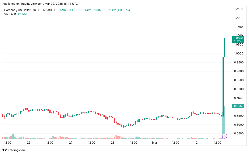 Source: TradingView