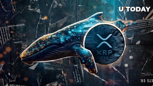 XRP Whale Alert: $380,084,007 XRP Moved in Minutes