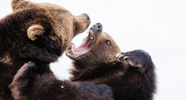 BTC-Bears-Target-200-DMA-Amid-Macro-Concerns.jpg BTC Bears