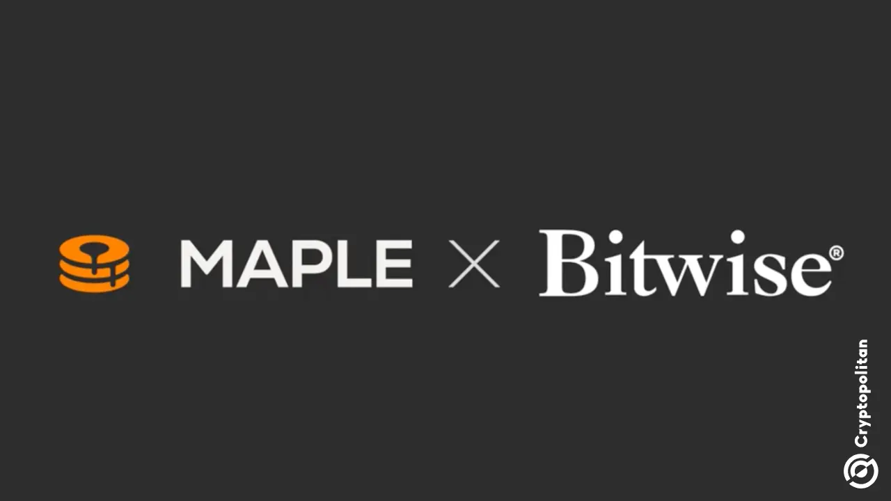 Bitwise Pioneers