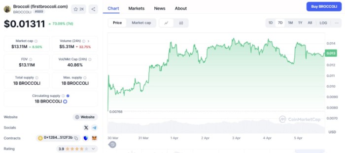 BTC Bull Token Roadmap