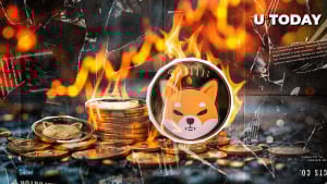 SHIB Burns Jump 984%, but Here's Big Negative Nuance